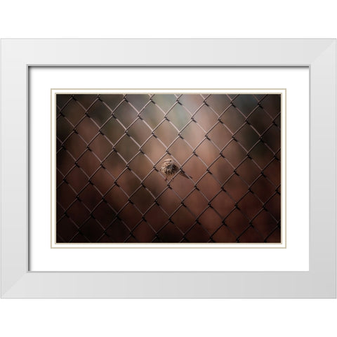 Besieged White Modern Wood Framed Art Print with Double Matting by Zhang, Ling