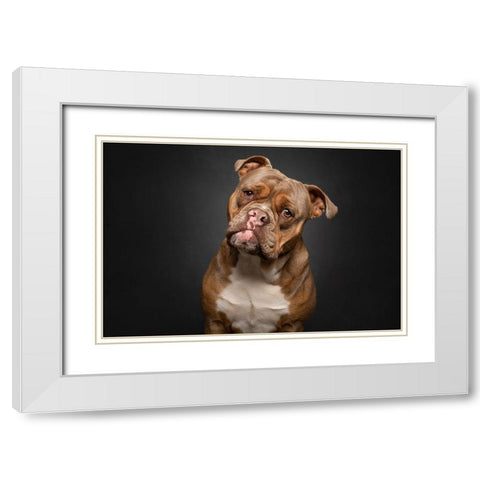 Serious Business White Modern Wood Framed Art Print with Double Matting by Eeckloo, Valerie