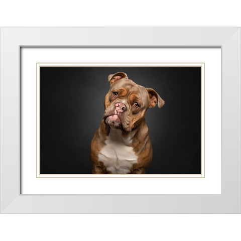 Serious Business White Modern Wood Framed Art Print with Double Matting by Eeckloo, Valerie