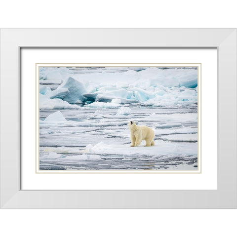 The Hunt - What Can I Smell? White Modern Wood Framed Art Print with Double Matting by Lewis-Bevan, Wyn