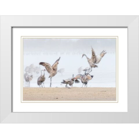 Dancing In The Foggy Morning White Modern Wood Framed Art Print with Double Matting by Zuo, Jun