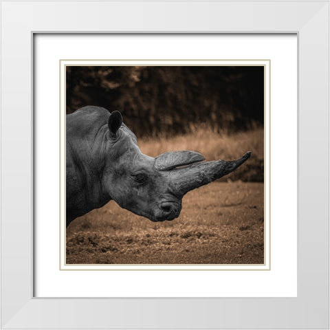 Rhinoceros White Modern Wood Framed Art Print with Double Matting by Tsikiridis, Georgios