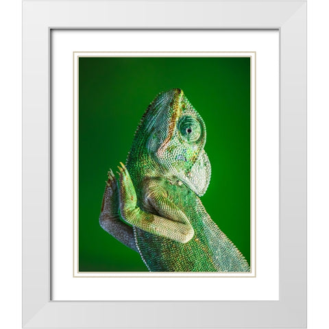 Praying! White Modern Wood Framed Art Print with Double Matting by Elkahlawi, Ahmed