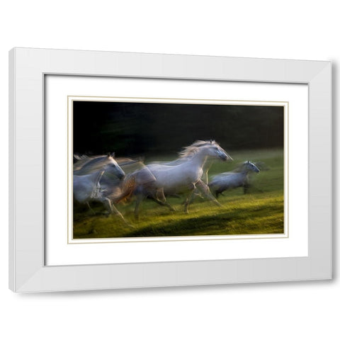 white dominance White Modern Wood Framed Art Print with Double Matting by Malovrh, Milan