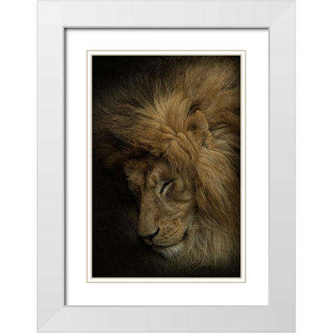 Healing Heart White Modern Wood Framed Art Print with Double Matting by Nakatsuka, Takayuki