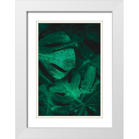 Green like life White Modern Wood Framed Art Print with Double Matting by Hamedani, Ardalan