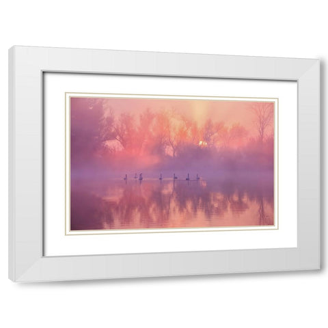Swan Lake Sunrise White Modern Wood Framed Art Print with Double Matting by Liu, Wei