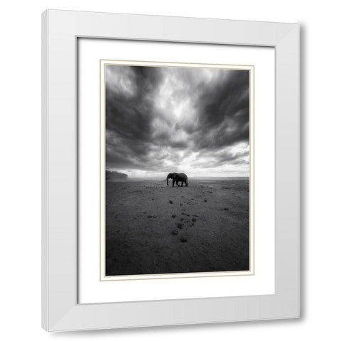 Amboseli White Modern Wood Framed Art Print with Double Matting by Swapnil