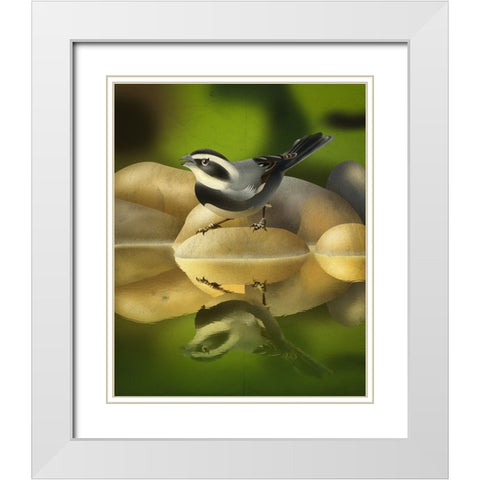 Monterita de collar White Modern Wood Framed Art Print with Double Matting by Caballero, Franco