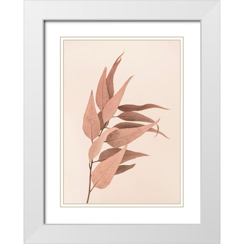 Dried Eucalyptus White Modern Wood Framed Art Print with Double Matting by Pienaar, Kathrin