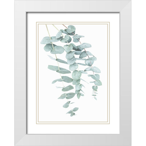 Eucalyptus I White Modern Wood Framed Art Print with Double Matting by Pienaar, Kathrin