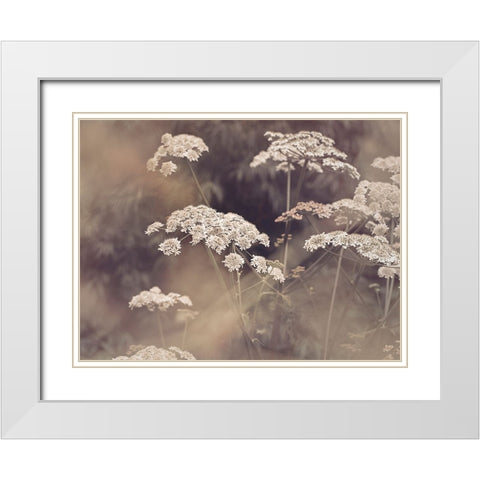 Wild Parsley White Modern Wood Framed Art Print with Double Matting by Pienaar, Kathrin