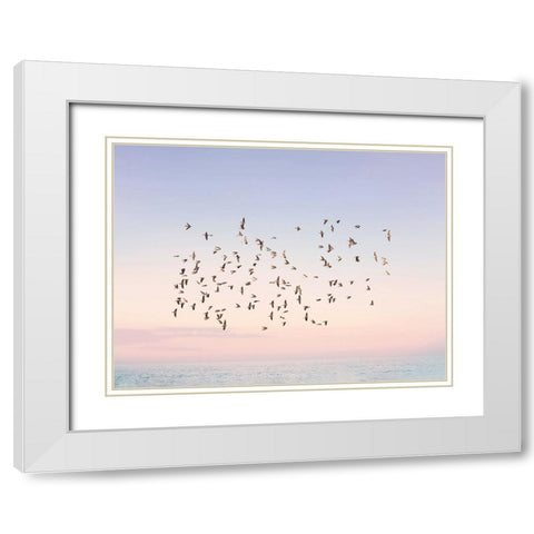 Sunset Flight White Modern Wood Framed Art Print with Double Matting by Pienaar, Kathrin