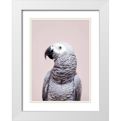 African Grey White Modern Wood Framed Art Print with Double Matting by Pienaar, Kathrin