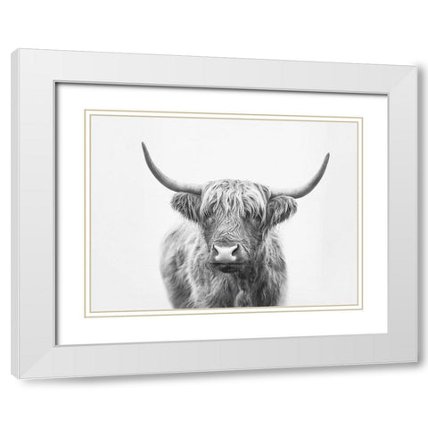 Highland Bull White Modern Wood Framed Art Print with Double Matting by Pienaar, Kathrin
