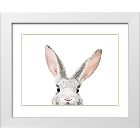 Peeking Bunny White Modern Wood Framed Art Print with Double Matting by Pienaar, Kathrin