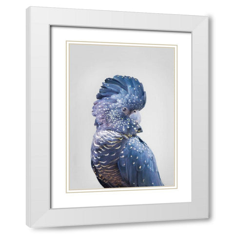 Black Cockatoo White Modern Wood Framed Art Print with Double Matting by Pienaar, Kathrin