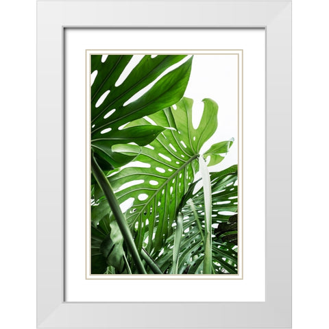 Jungle White Modern Wood Framed Art Print with Double Matting by Pienaar, Kathrin