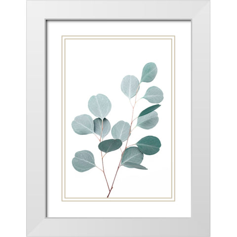 Silverdollar White Modern Wood Framed Art Print with Double Matting by Pienaar, Kathrin