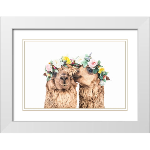 Boho Alpacas White Modern Wood Framed Art Print with Double Matting by Pienaar, Kathrin