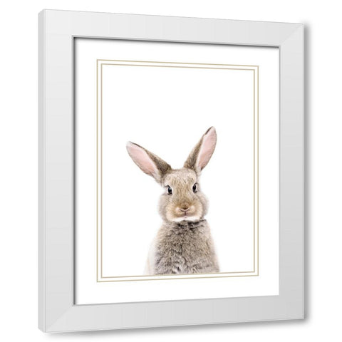Baby Rabbit White Modern Wood Framed Art Print with Double Matting by Pienaar, Kathrin