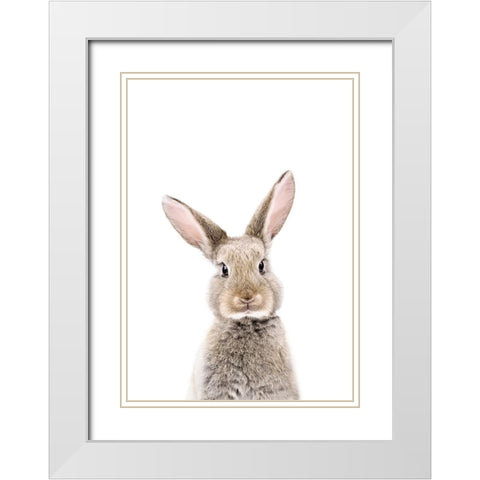 Baby Rabbit White Modern Wood Framed Art Print with Double Matting by Pienaar, Kathrin