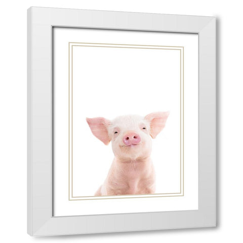 Baby Pig White Modern Wood Framed Art Print with Double Matting by Pienaar, Kathrin
