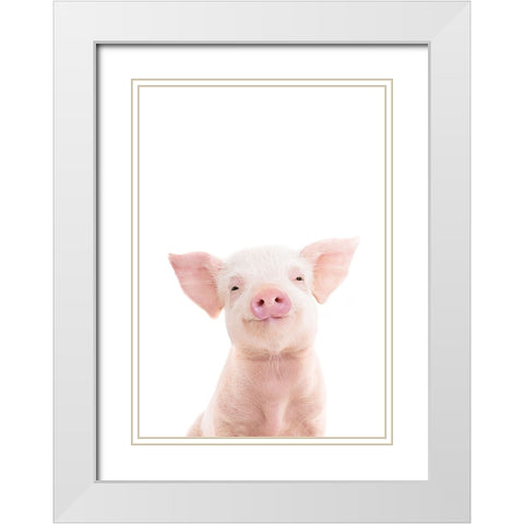 Baby Pig White Modern Wood Framed Art Print with Double Matting by Pienaar, Kathrin