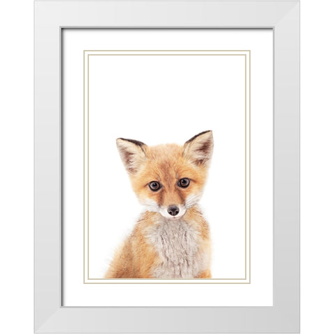 Baby Fox White Modern Wood Framed Art Print with Double Matting by Pienaar, Kathrin
