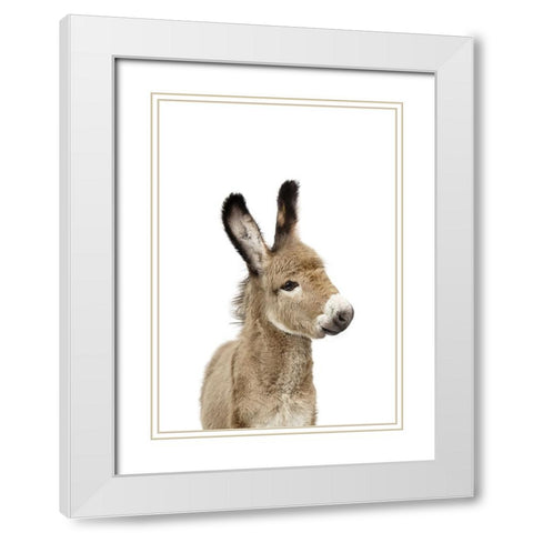 Baby Donkey White Modern Wood Framed Art Print with Double Matting by Pienaar, Kathrin