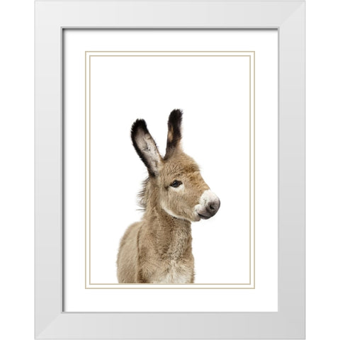 Baby Donkey White Modern Wood Framed Art Print with Double Matting by Pienaar, Kathrin