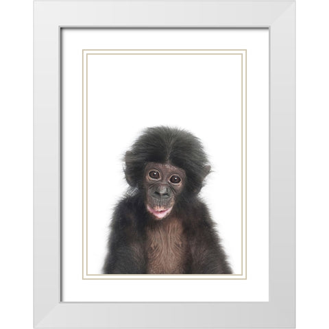 Baby Monkey White Modern Wood Framed Art Print with Double Matting by Pienaar, Kathrin
