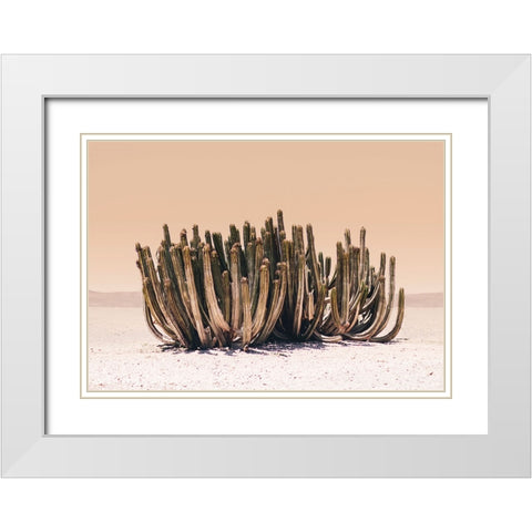Peach Sky Cactus White Modern Wood Framed Art Print with Double Matting by Pienaar, Kathrin