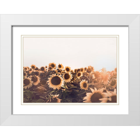 Sunflowers White Modern Wood Framed Art Print with Double Matting by Pienaar, Kathrin