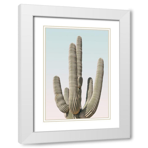 Saguaro White Modern Wood Framed Art Print with Double Matting by Pienaar, Kathrin
