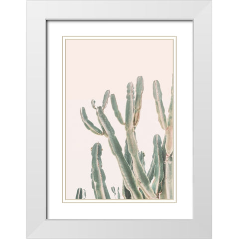 Sunrise Cactus White Modern Wood Framed Art Print with Double Matting by Pienaar, Kathrin