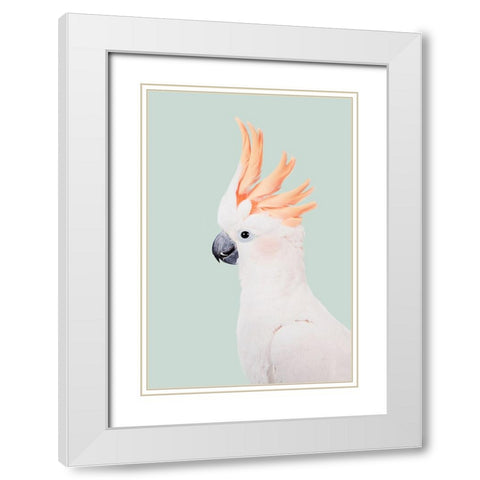 Cockatoo White Modern Wood Framed Art Print with Double Matting by Pienaar, Kathrin