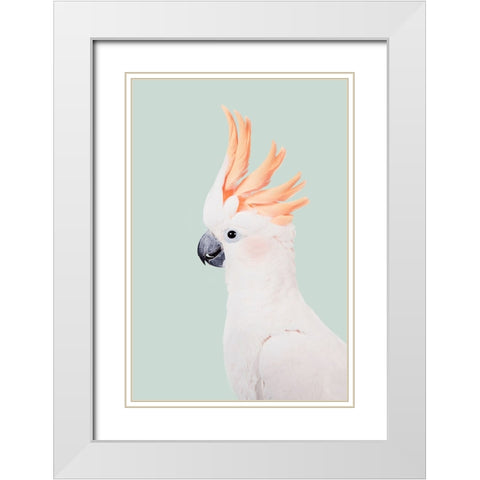 Cockatoo White Modern Wood Framed Art Print with Double Matting by Pienaar, Kathrin