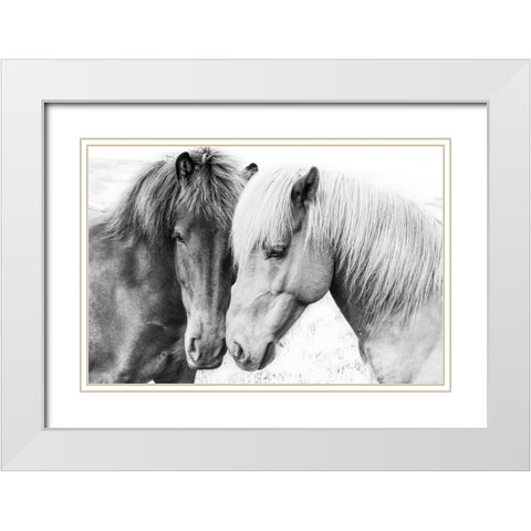 Horse Love White Modern Wood Framed Art Print with Double Matting by Pienaar, Kathrin