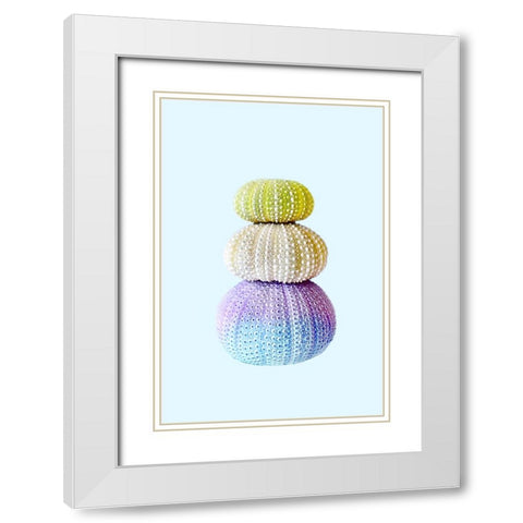 Sea Urchins White Modern Wood Framed Art Print with Double Matting by Pienaar, Kathrin