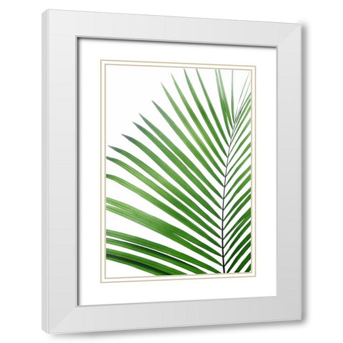 Green Palm Leaf White Modern Wood Framed Art Print with Double Matting by Pienaar, Kathrin