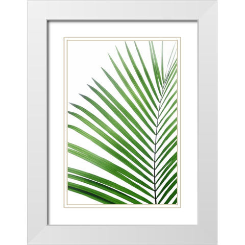Green Palm Leaf White Modern Wood Framed Art Print with Double Matting by Pienaar, Kathrin