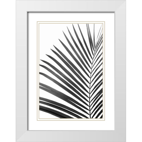 BW Palm Leaf White Modern Wood Framed Art Print with Double Matting by Pienaar, Kathrin