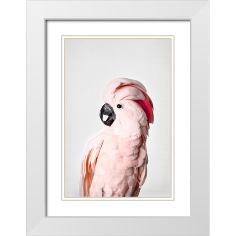 Pink Cockatoo White Modern Wood Framed Art Print with Double Matting by Pienaar, Kathrin