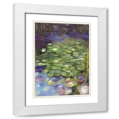 Lily Pad Pond White Modern Wood Framed Art Print with Double Matting by Day, Ruth