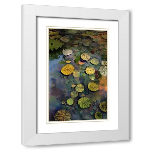 Lily Pads White Modern Wood Framed Art Print with Double Matting by Day, Ruth