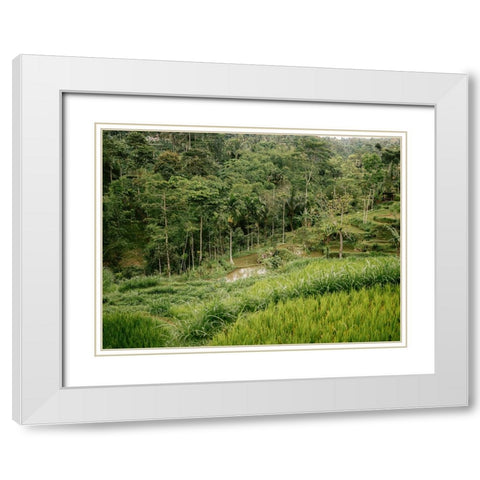 Tetebatu Lombok White Modern Wood Framed Art Print with Double Matting by Zwart, Raisa