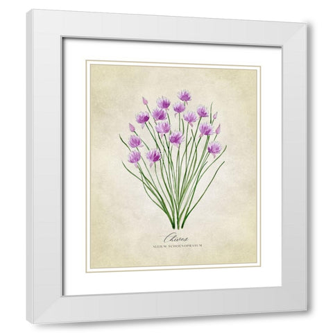 Chives vintage White Modern Wood Framed Art Print with Double Matting by Laiz Blursbyai, Rosana