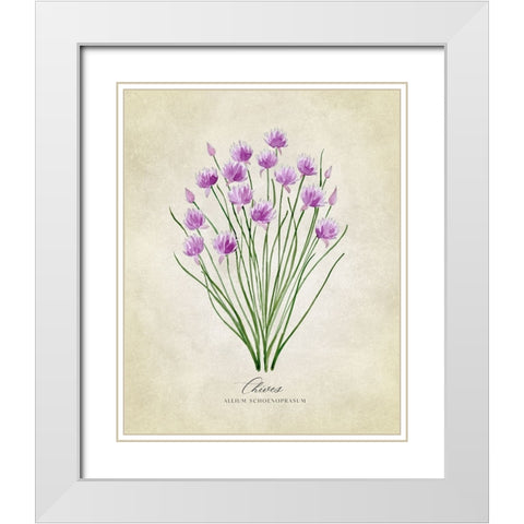 Chives vintage White Modern Wood Framed Art Print with Double Matting by Laiz Blursbyai, Rosana
