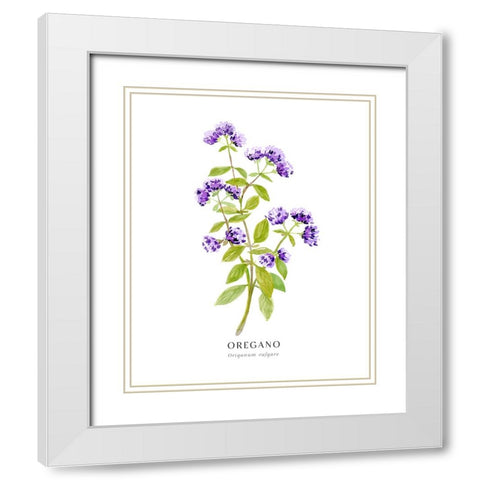 Oregano I White Modern Wood Framed Art Print with Double Matting by Laiz Blursbyai, Rosana